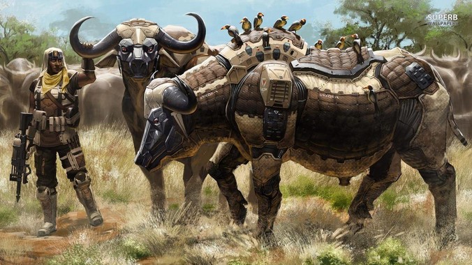 养乌龟如何降低换水频率？